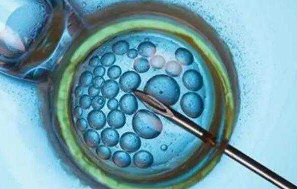 生殖机构代孕套餐_2023泰安试管助孕生混血宝宝价格参考，公立与私立价格差异